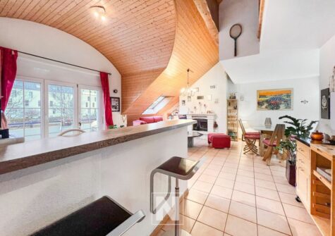Cossonay superbe duplex