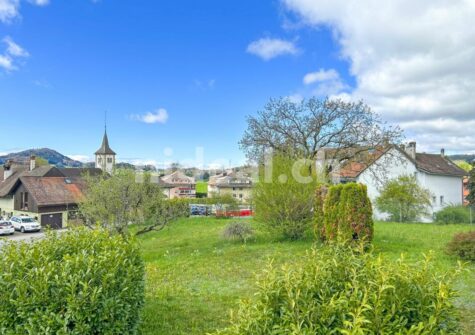 Maison individuelle avec grand jardin!