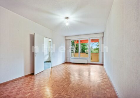 Grand appartement à Thônex !
