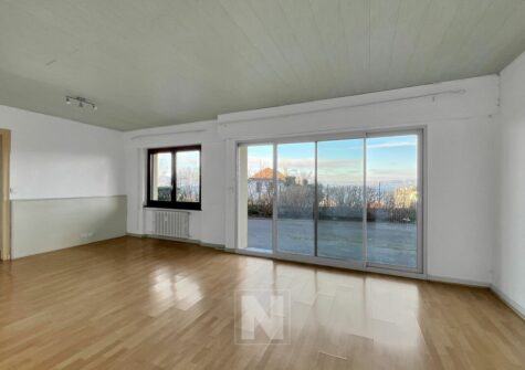 Appartement de 2.5 pièces en Rez-de-Chaussée