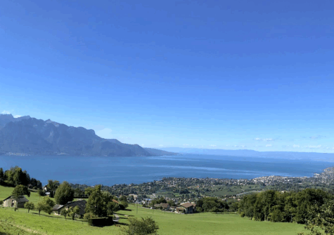 Joli 3,5 pièces avec vue sur le lac