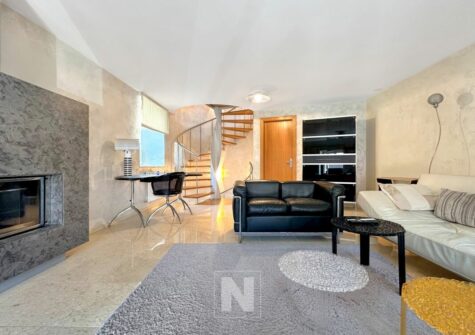 Loft complètement rénovée à Concise